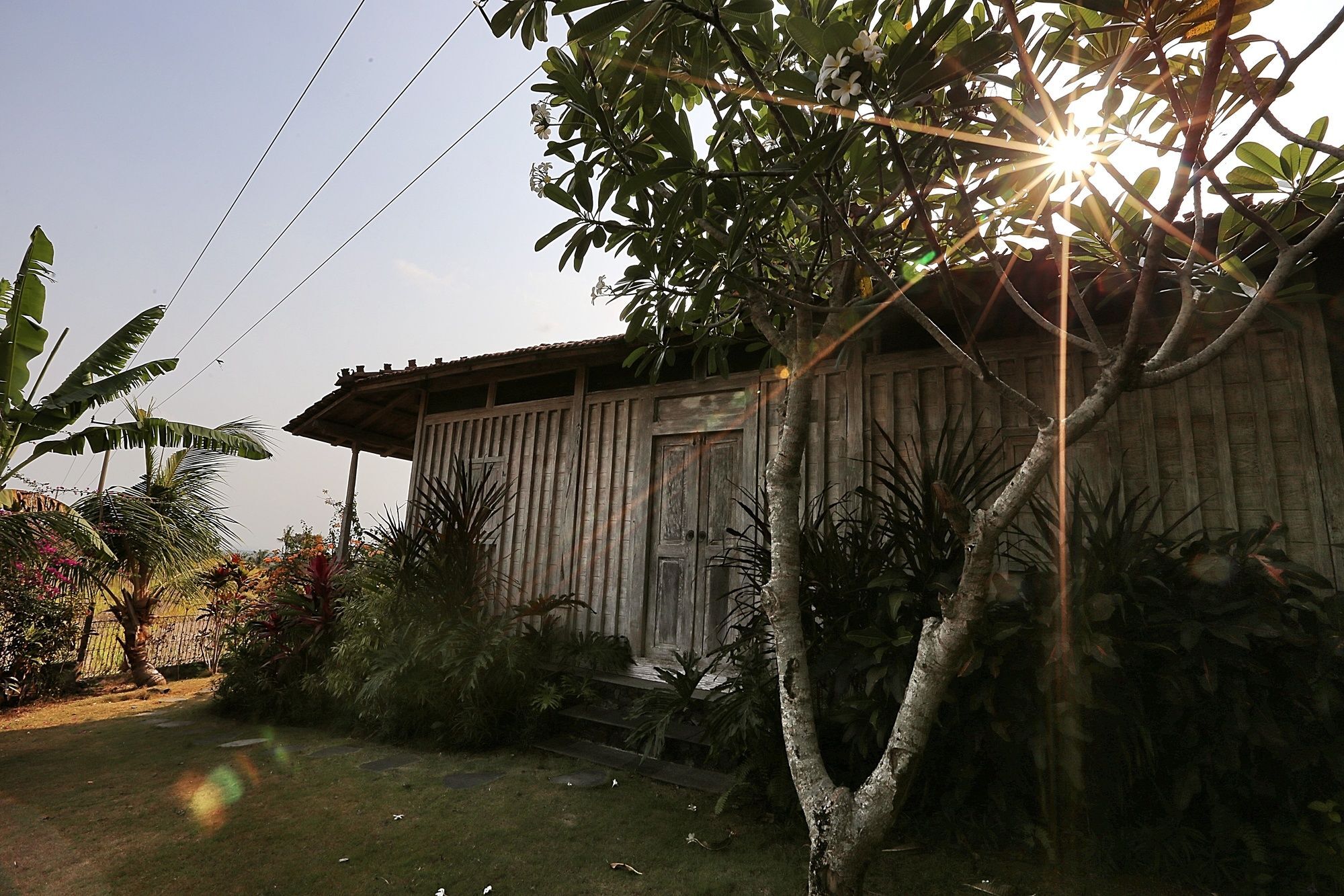 Hotel The Sanyas Retreat Selemadeg Esterno foto